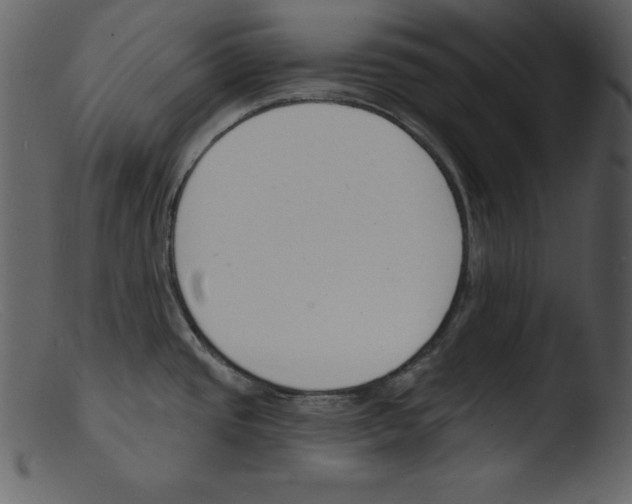 X0000103301437200809261303