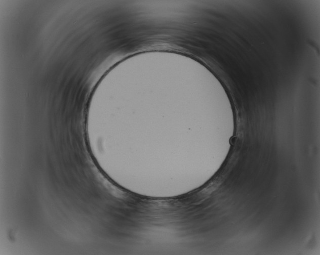 X0000103301438200809261303