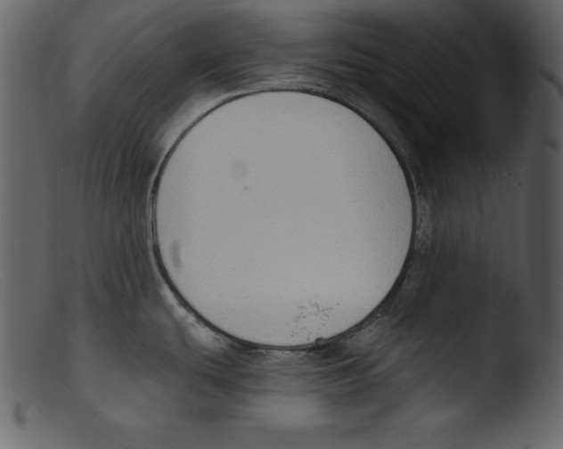 X0000103301439200809261303