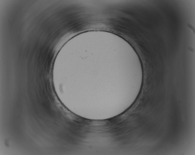 X0000103301440200809261303