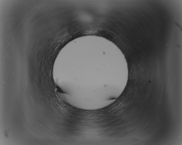 X0000103301441200809261302
