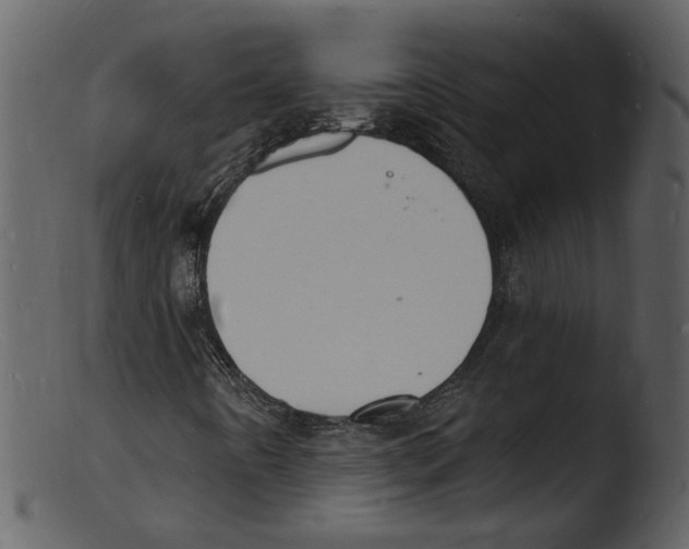 X0000103301442200809261302