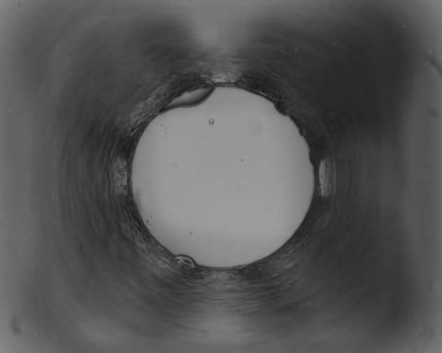 X0000103301443200809261302