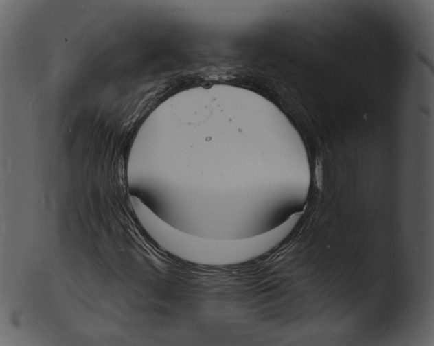 X0000103301444200809261302