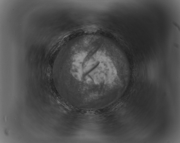 X0000103301445200809261302