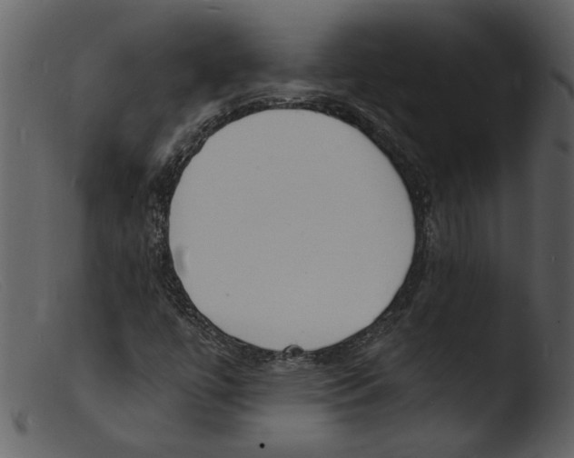 X0000103301447200809261302