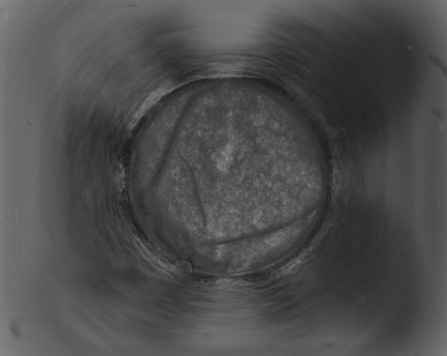 X0000103301449200809261302