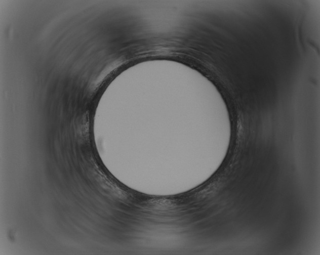 X0000103301450200809261302