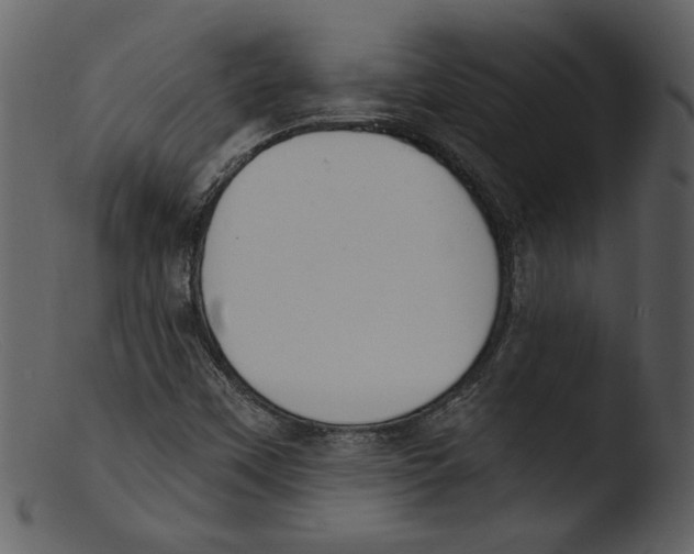 X0000103301451200809261302