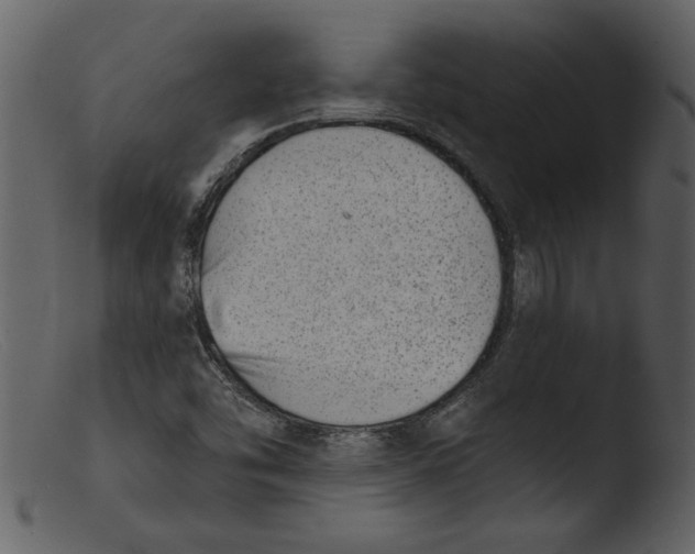 X0000103301454200809261302