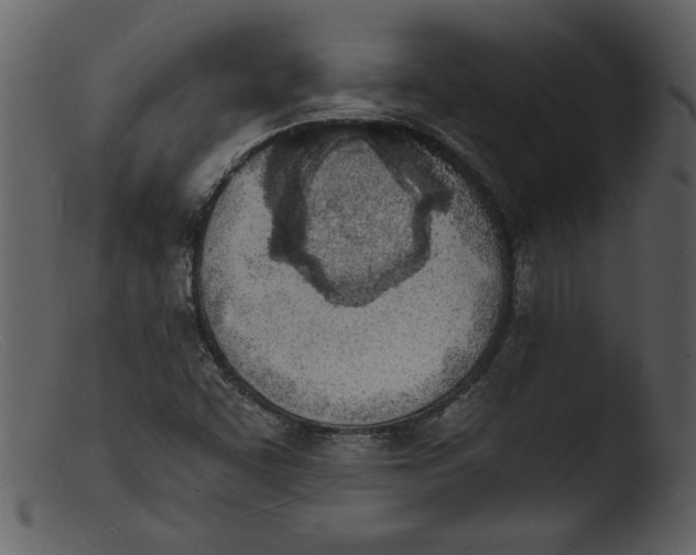 X0000103301455200809261302