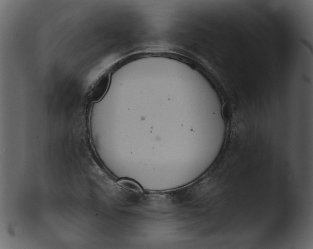 X0000103301456200809261302