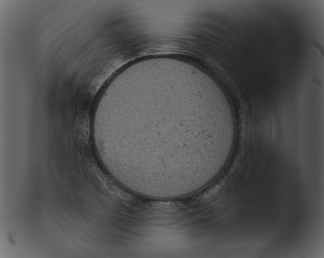 X0000103301457200809261302