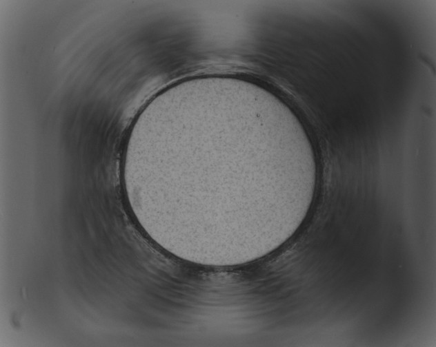 X0000103301459200809261302