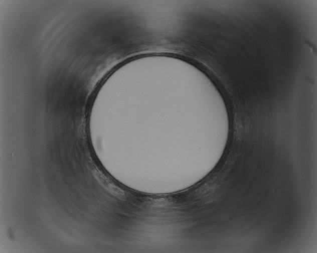 X0000103301460200809261302