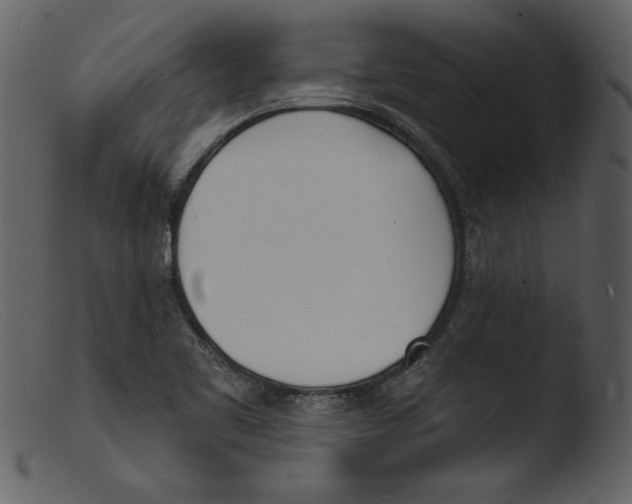 X0000103301461200809261302