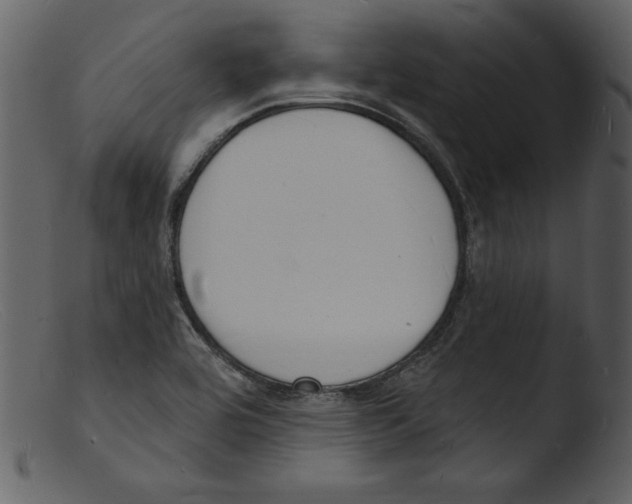 X0000103301464200809261302