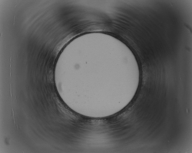 X0000103301465200809261302