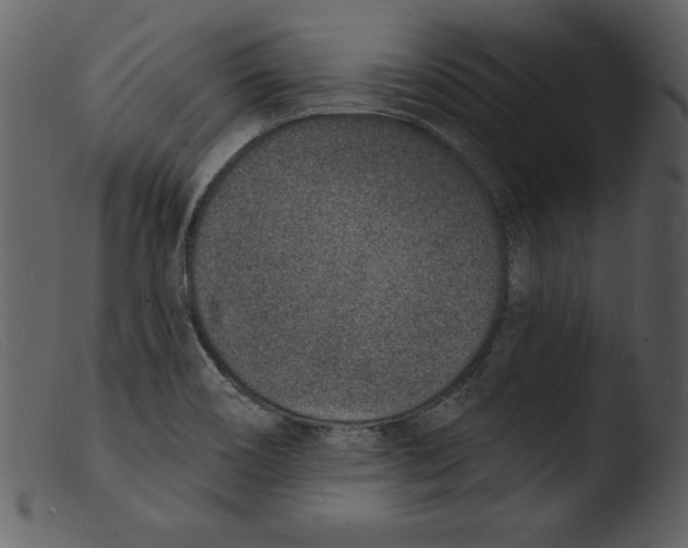 X0000103301466200809261302
