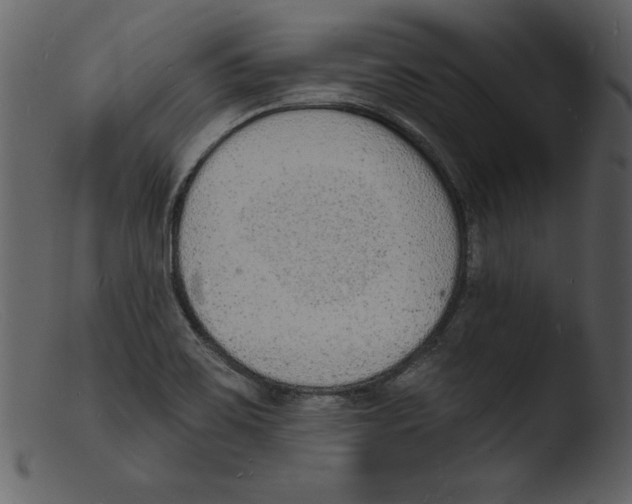 X0000103301467200809261302