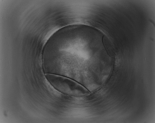 X0000103301468200809261302