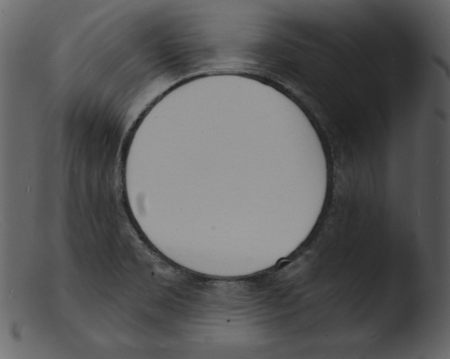 X0000103301469200809261302