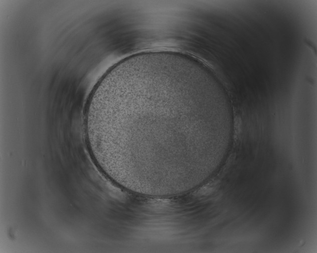 X0000103301470200809261302