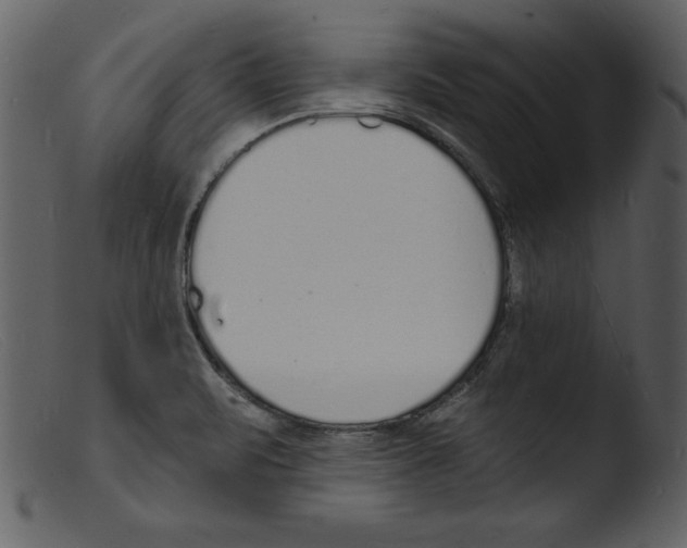 X0000103301471200809261301