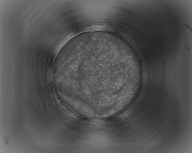 X0000103301473200809261301