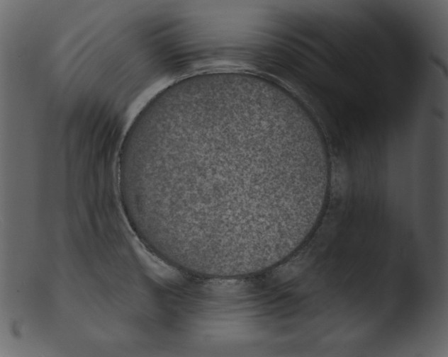 X0000103301474200809261301