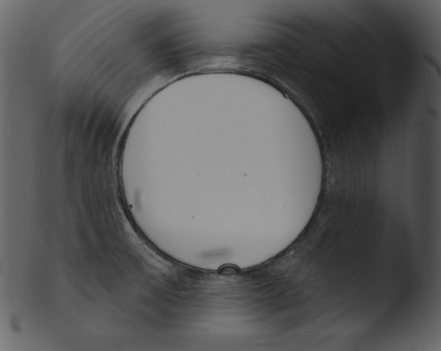 X0000103301475200809261301