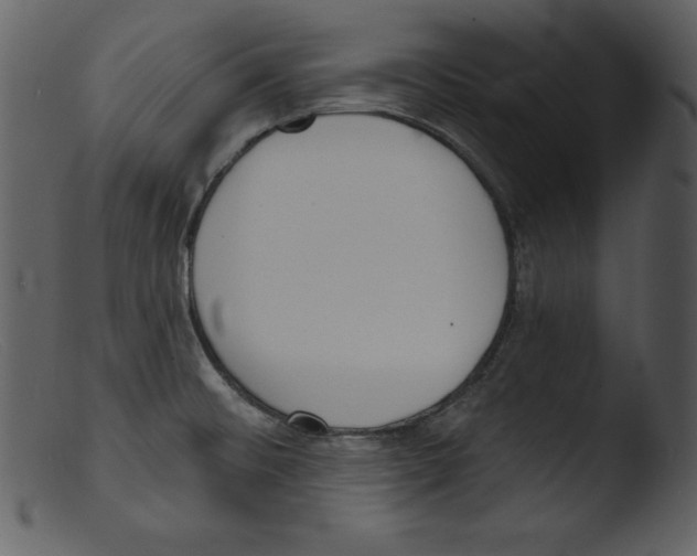 X0000103301476200809261301