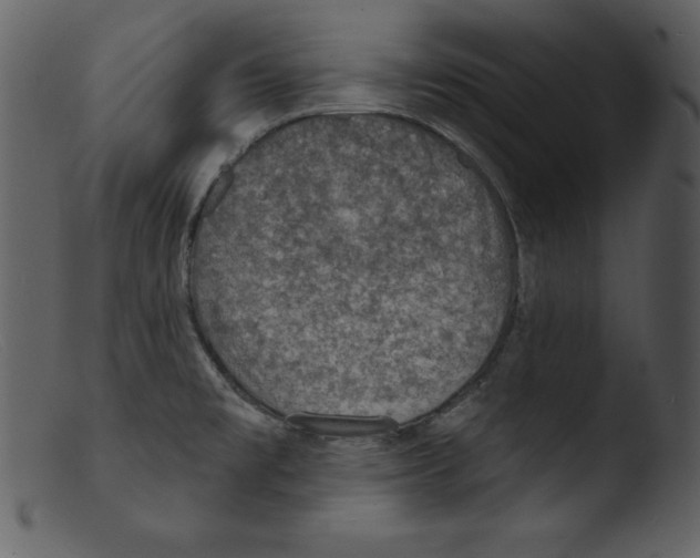 X0000103301477200809261301