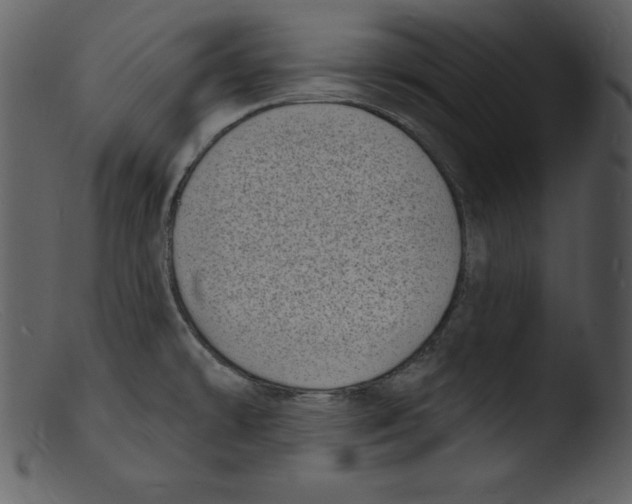 X0000103301478200809261301