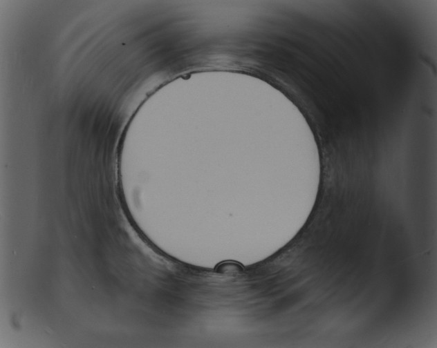 X0000103301479200809261301