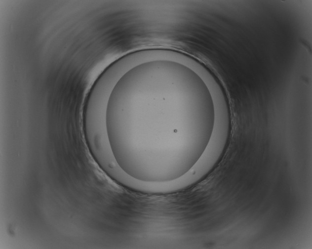 X0000103301480200809261301