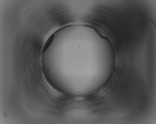 X0000103301484200809261301