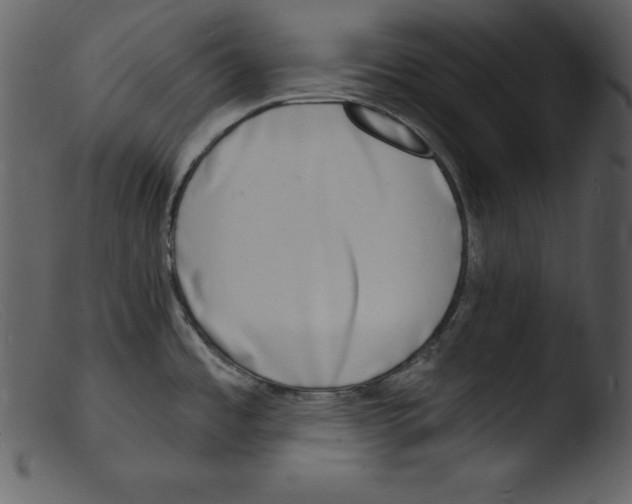 X0000103301485200809261301