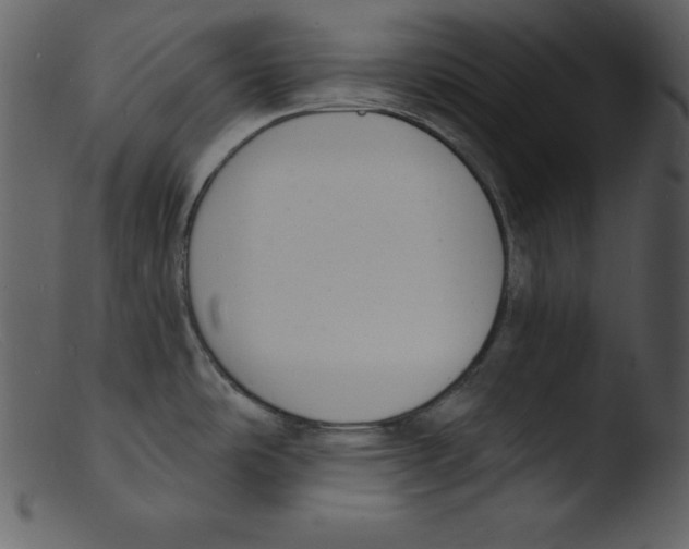 X0000103301486200809261301