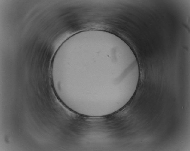 X0000103301487200809261301