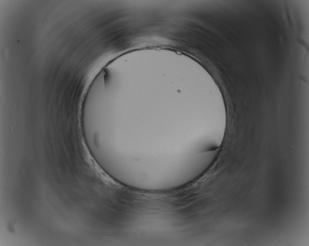 X0000103301488200809261301