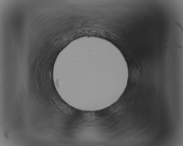 X0000103301489200809261300