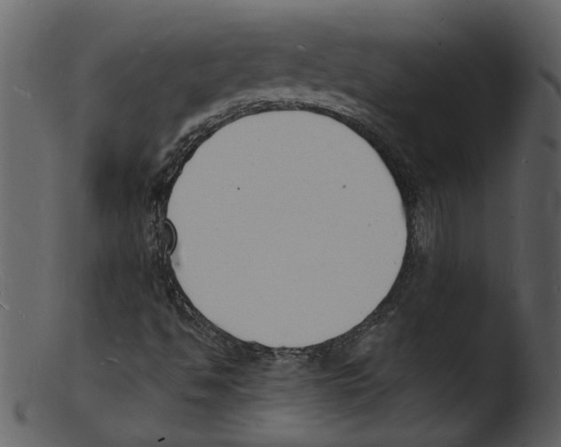 X0000103301494200809261301