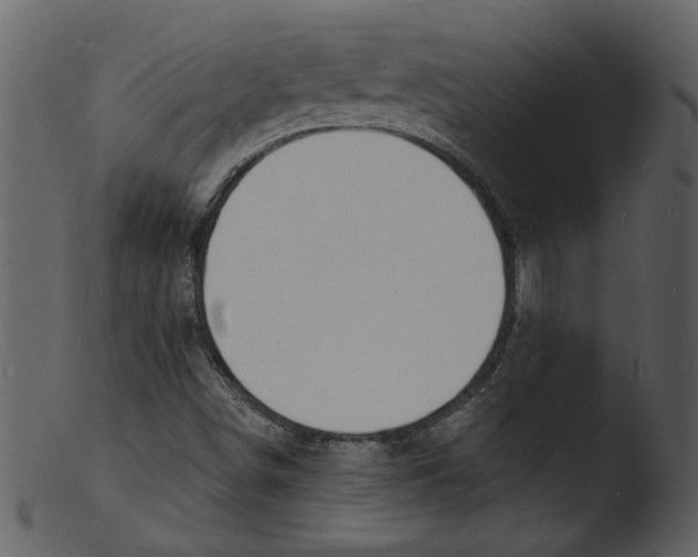 X0000103301498200809261301