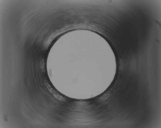 X0000103301499200809261301