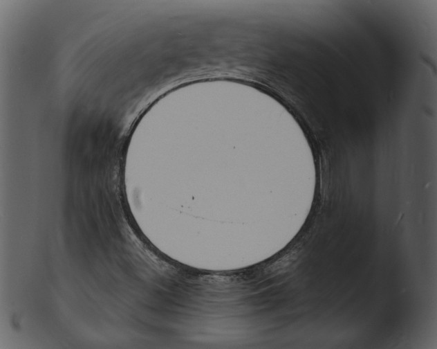 X0000103301500200809261301