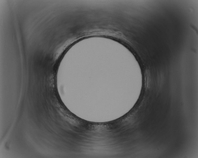 X0000103301501200809261301