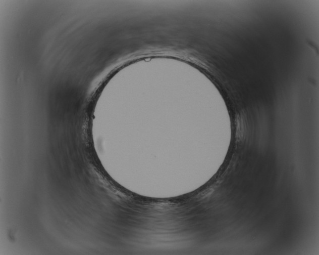 X0000103301502200809261301