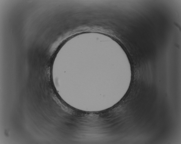 X0000103301503200809261301