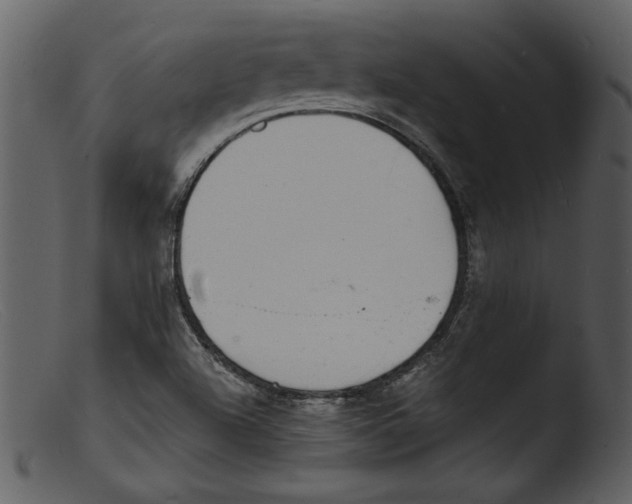 X0000103301504200809261301